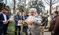 غرس نهال در مراسم غبارروبی مزار شهدای دانشگاه علوم پزشکی ایران