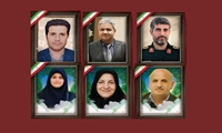 ببینید| مردم علاج در وطن است