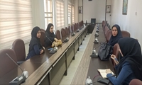 برگزاری کارگاه «تربیت مربی احیای نوزاد و اطفال» در شهریار 