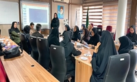  کمیته تخصصی امور سلامت و بیمه سالمندان برگزار شد