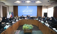 دومین جلسه کارگروه اجتماعی، فرهنگی و سلامت زنان و خانواده شهرستان تهران برگزار شد