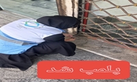 کارگاه غیرمجاز تولید لبنیات در ستارخان شناسایی و پلمب شد