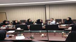 اولین کارگروه تخصصی پیشگیری از سقط عمدی جنین در معاونت درمان دانشگاه برگزار شد