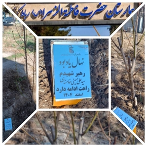 پویش کاشت نهال «برای رهبرم» در بیمارستان حضرت فاطمه الزهرا(س) رباط‌کریم برگزار شد